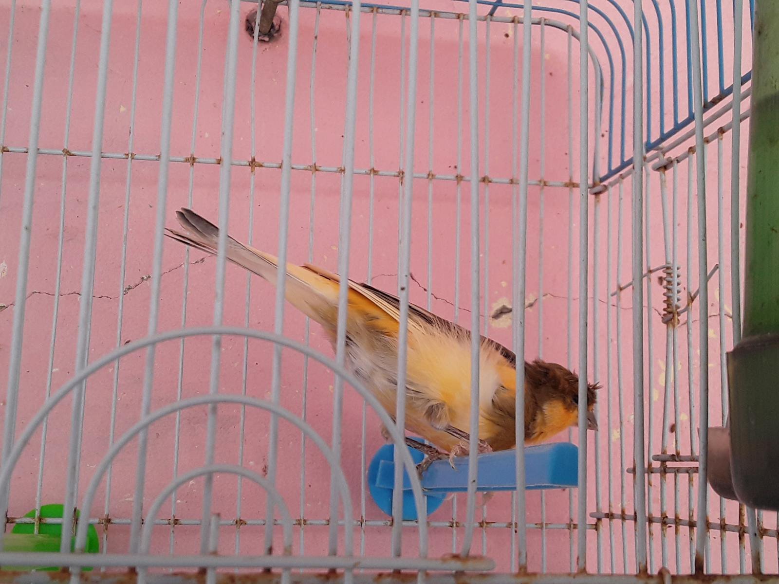 Group image as a symbol of mutual strength and presence